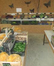 Du Potager Fleuri GAEC image 5