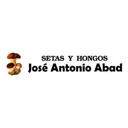 DELICIAS DEL BOSQUE