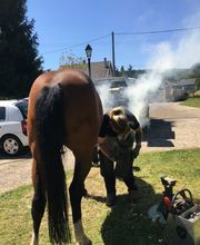 Champeaux Élodie marechal ferrant 27 eure image 7