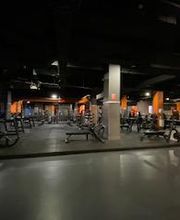 Vista de la zona de peso libre