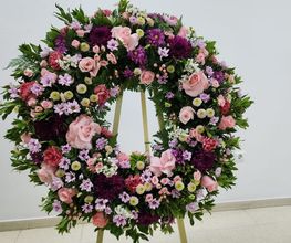 18860106-1-lCJW757KqY1771949604064.jpeg