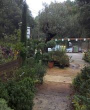 Les Jardins D'Alexandre image 4