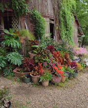 Paradise Park image 15