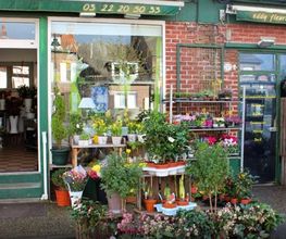 Eddy Fleurs image 3