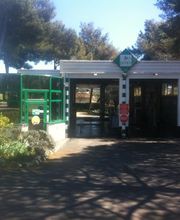 DEKRA - CT DIGANI image 4