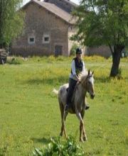 Les Cavaliers D'epona image 4