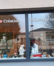 Artist'O Chien image 15