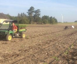 AGRI REA image 4