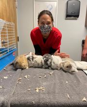 Nicholasville Road Animal Hospital image 6