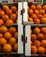 Karl Haegeli Erben AG Bild 3