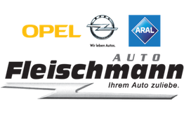 Auto Fleischmann KG