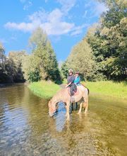 Cerdanya Eqüestre imagen 20