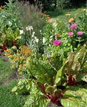 Gander Gartenbau Bild 8