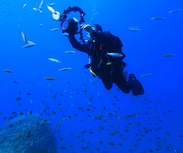 Fuerteventura Diving imagen 6