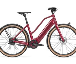 E-Bike-Leasing.eu | Wismar Bild 4