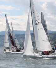 Motorboot-Fahrschule Beni Winiger | Zürichsee Bild 11
