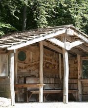FriedWald Bad Berka Bild 13