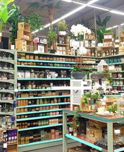 Centrakor / Zoé Confetti Exincourt image 11