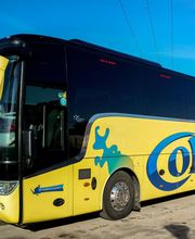 Cars Collard image 13