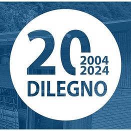 Dilegno Sagl logo