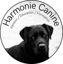 Harmonie Canine