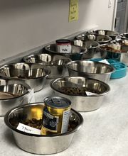 Westwood Regional Veterinary Hospital image 10