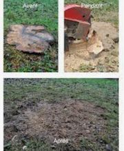 Clément Paysages image 18