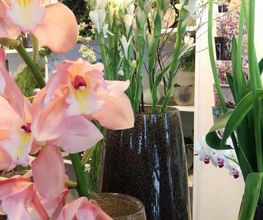 Floradiso AG | Blumenladen/Blumengeschäft | Floristik | Trauerfloristik | Hochzeitsfloristik Bild 1