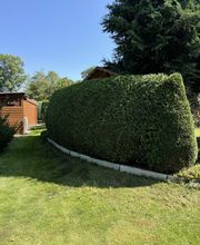IMG_3157.jpeg