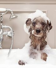 Eichholzer Haustechnik AG Bild 7