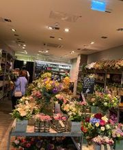 BLUME2000 Böblingen Bild 3