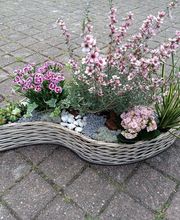Ambiance et Fleurs image 1