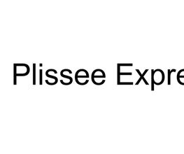 Plissee Express Bild 1