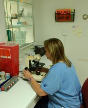 Town & Country Veterinary Clinic image 5