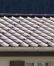 Toni Gisler AG Bild 3