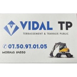 Vidal Tp