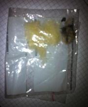 Active Diag13, Expert en Diagnostics immobiliers marseille PACA image 18