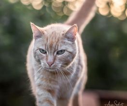 Anja Sehrt Fotografie Bild 5