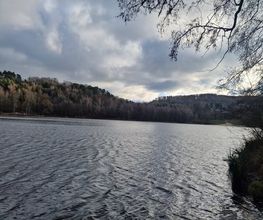 Ferienhaus Mainz am Silbersee Bild 5
