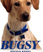 Bug Man Exterminating image 3