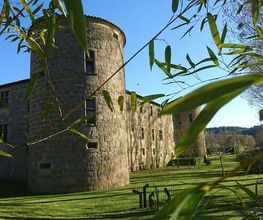 Château des Ducs de Joyeuse image 13