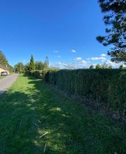 Gignoux Martin image 7