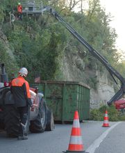 Philippe Joyeux Elagage image 3