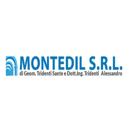 Montedil logo