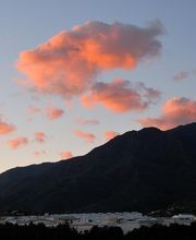 PURISOL PROPERTIES imagen 14