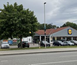 Lidl Bild 1