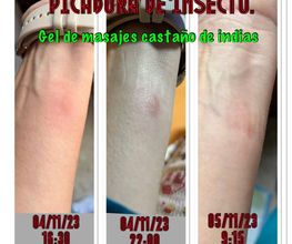 Obdulia_Urdi_Asesora_en_Nutricosmetica11.jpeg