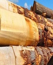 Société Ageorges image 3