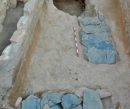 IN SITU SCP imagen 17