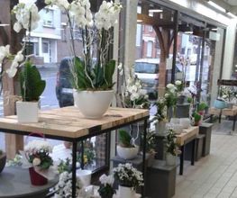 Fanny Fleurs image 5